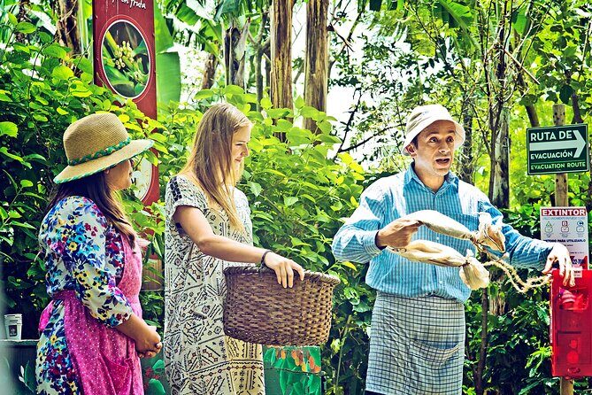 Britt Coffee Tour from San José - The Sum Up