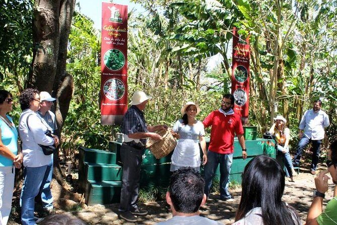 Britt Coffee Tour with lunch. Private Tour from San Jose - Key Points