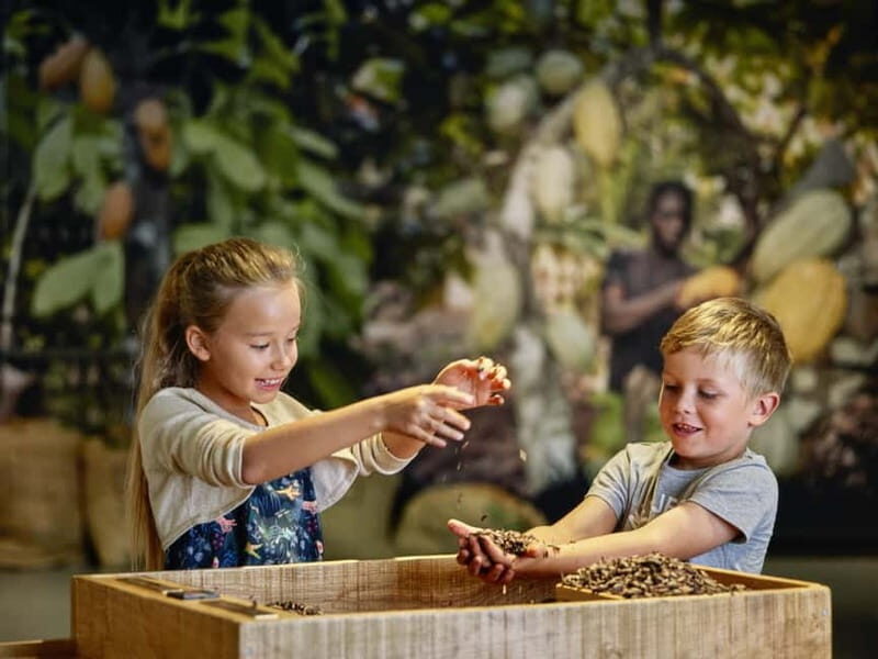 Broc: Entry ticket to the Maison Cailler chocolate factory - Who Should Consider This Tour?