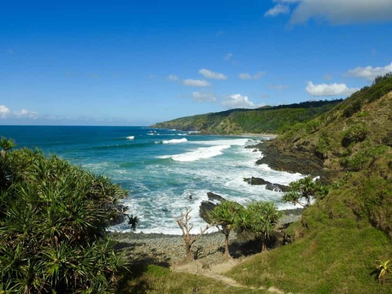 Broken Head: Nature Reserve Guided Eco-Tour with Beach Visit - Final Thoughts: Is This Tour for You?