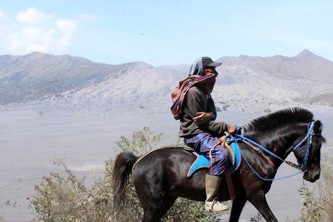 Bromo panorama tour to avoid the crowds - start Malang // 1 day tour - Discover Mount Bromo on a Crowds-Avoiding Day Tour from Malang