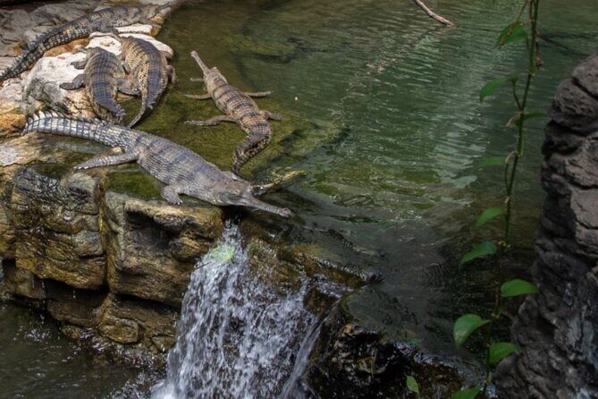 Bronx Zoo Admission Ticket - The Practical Side: Price, Duration, and Accessibility