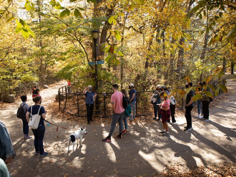 Brooklyn: 2-Hour Prospect Park Guided Walking Tour - Practical Considerations