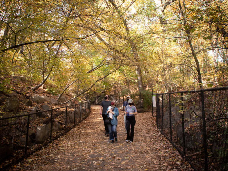 Brooklyn: 2-Hour Prospect Park Guided Walking Tour - Authentic Feedback from Participants