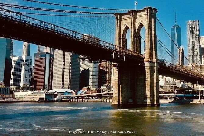 Brooklyn Bridge & DUMBO: Private New York Half-Day Walking Tour - Final Thoughts: Who Will Love This Tour?