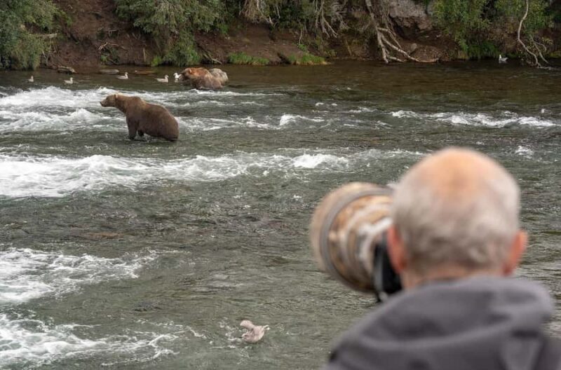 Brooks Falls: Katmai National Park Bear View by Floatplane - A Deep Dive into the Brooks Falls Floatplane Experience
