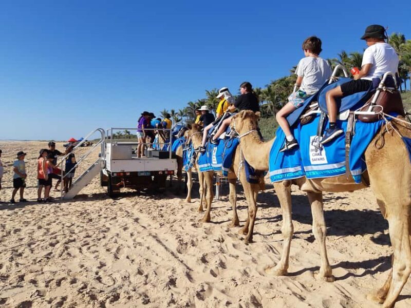 Broome: 45-Minute Pre-Sunset Cable Beach Camel Ride - The Ride: From Dunes to Ocean