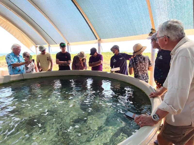 Broome: Dampier Peninsula Tour with Return Flight Option - Key Points