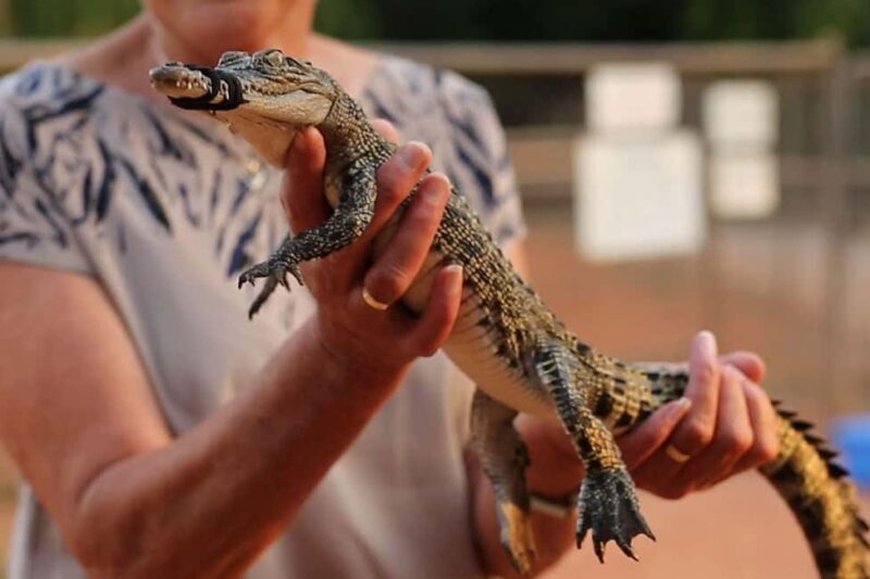 Broome: Malcolm Douglas Crocodile Park Tour with Transfers - FAQ