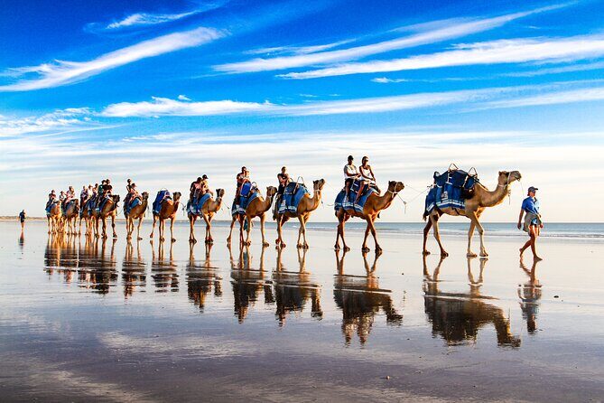 Broome Pre-sunset Camel Tour 30 minutes - A Closer Look at the Broome Camel Tour Experience