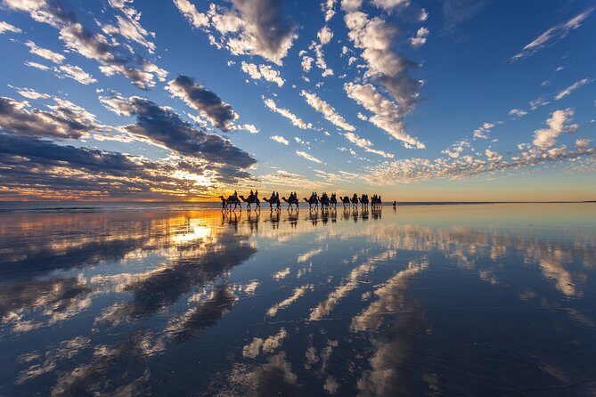 Broome Pre-sunset Camel Tour 30 minutes - FAQ