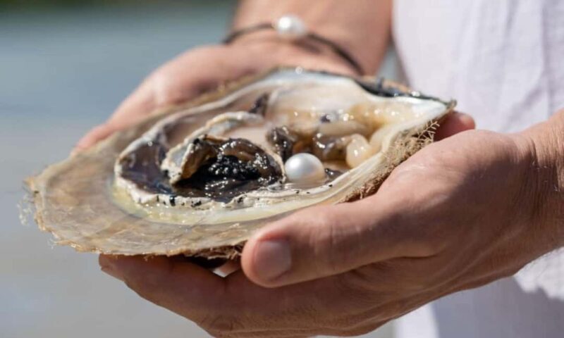 Broome: Treasures of Broome Pearlers Choice Tour - Key Points