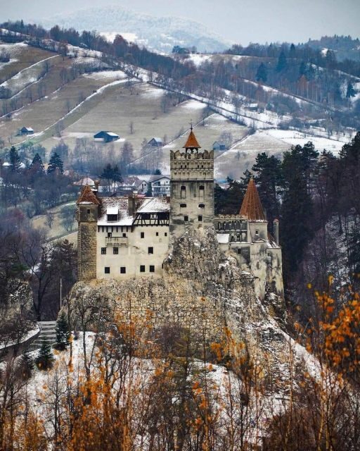 Brown Bear Sanctuary, Bran Castle & Rasnov Fortress Day Tour - A Deep Dive into the Day Tour Experience