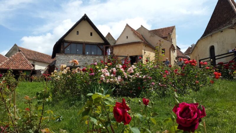 Brown Bear Sanctuary, Bran Castle & Rasnov Fortress Day Tour - FAQ