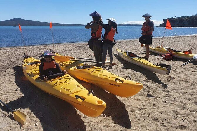 Browns Island Motukorea Sea Kayak Tour - FAQ