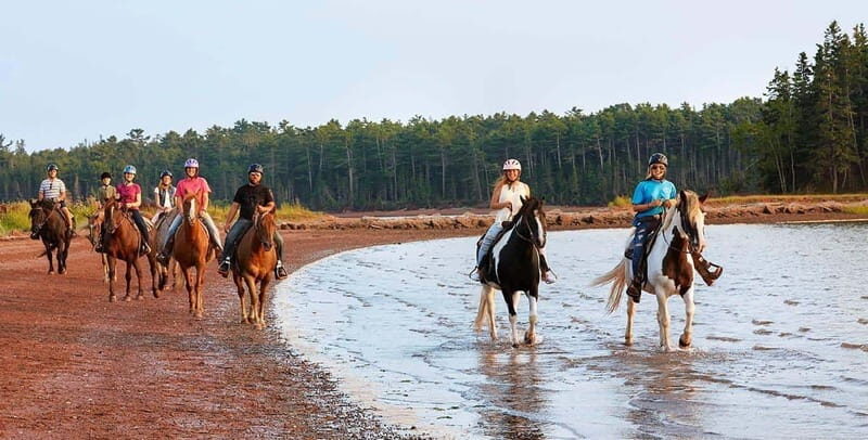 Brudenell: Family-Friendly Horse Ride goes on the Beach - Key Points