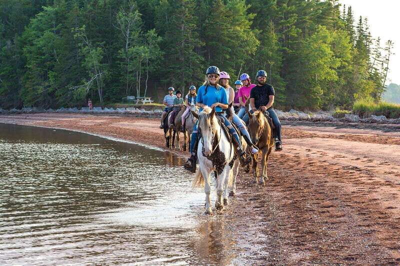 Brudenell: Family-Friendly Horse Ride goes on the Beach - What to Expect on Your Horseback Ride