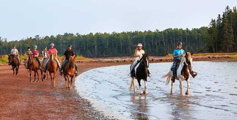 Brudenell: Family-Friendly Horse Ride goes on the Beach - FAQs