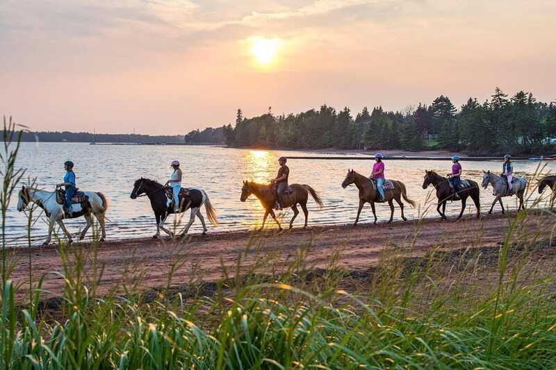Brudenell: Family-Friendly Horse Ride goes on the Beach - Final Thoughts