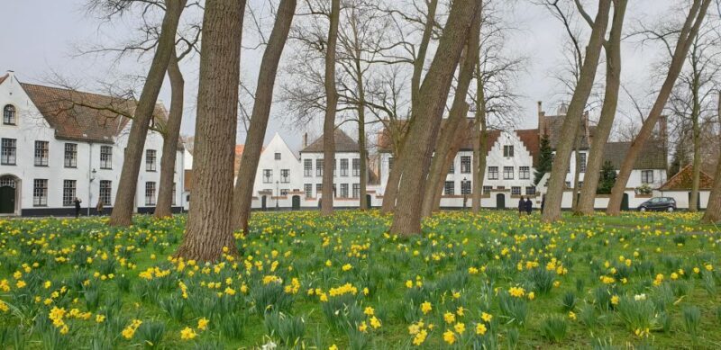 Bruges: 2.5-Hr Walking Tour from train station to Markt - Final Thoughts: Why Choose This Tour?