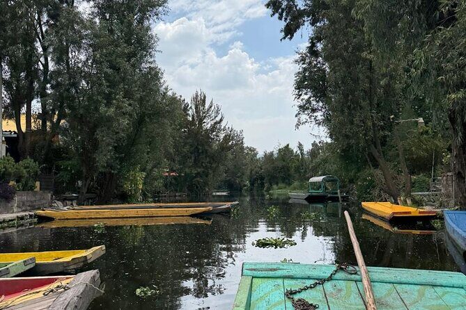 Brunch at Xochimilco, México City. - Key Points