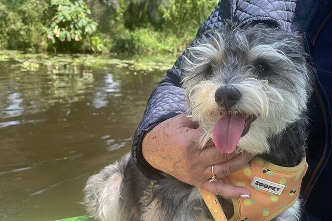Brunch at Xochimilco, México City. - FAQ