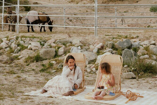 Brunch with Mini Rescue Burros in Southern California - Key Points