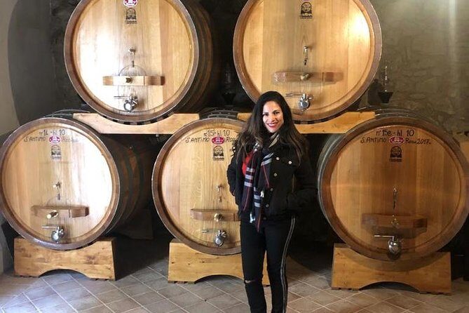Brunello and Montepulciano Wine Tour from Cortona - A Closer Look at the Brunello and Montepulciano Wine Tour