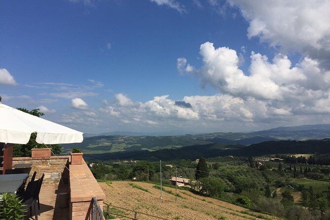 Brunello di Montalcino, small biodynamic wineries - An In-Depth Look at the Experience