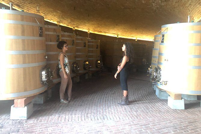 Brunello di Montalcino Wine Tour of 2 Wineries with Pairing Lunch - Key Points