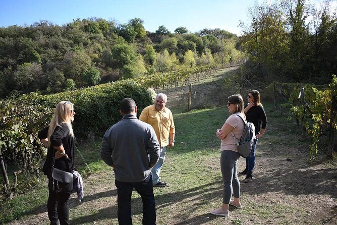 Brunello Vineyards Bus Tour - Who Will Love This Tour?