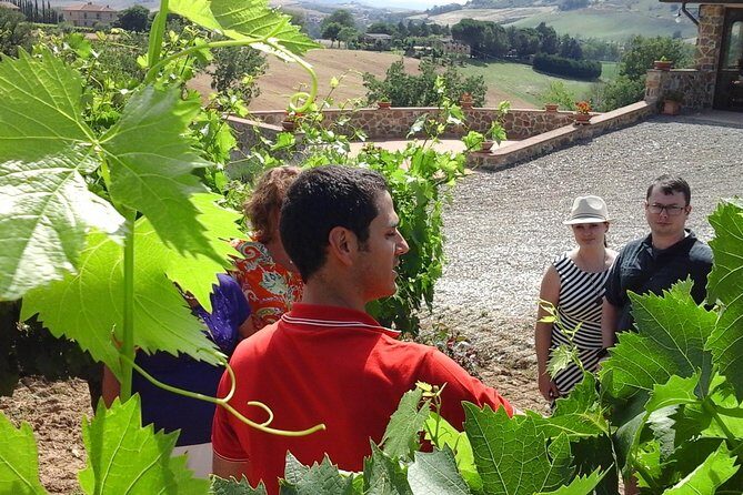 Brunello Vineyards Bus Tour - The Sum Up: Why Choose This Tour?