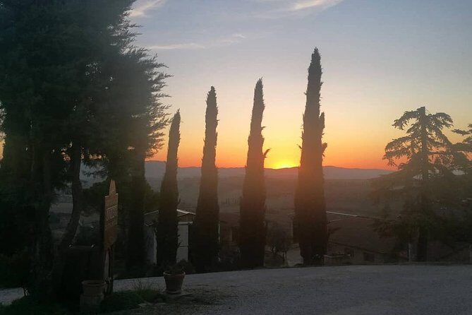 Brunello Wine Tour and Val D'Orcia Landscape - Key Points