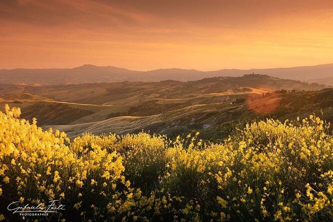 Brunello Wine Tour and Val D'Orcia Landscape - Final Thoughts: Is This Tour Worth It?