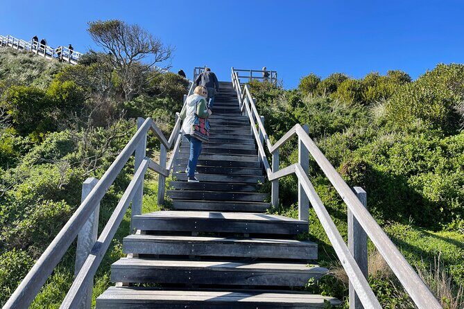 Bruny Island Adventure - Active Day Tour - An In-Depth Look at What Makes This Tour Stand Out