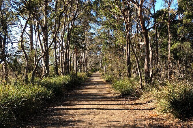 Bruny Island Adventure - Active Day Tour - Final Thoughts