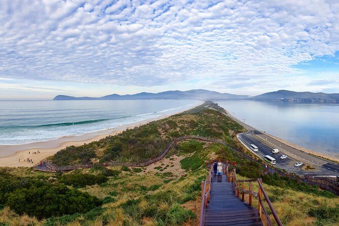 Bruny Island Food, Sightseeing, Guided Lighthouse Tour & Lunch - The Sum Up: A Well-Rounded Day on Bruny Island