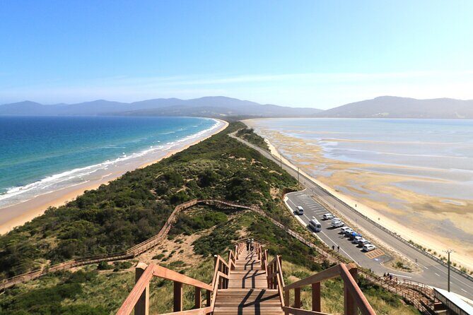 Bruny Island Small-Group Guided Tour From Hobart - Exploring the Itinerary: What You Can Expect