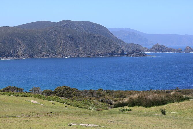 Bruny Island Small-Group Guided Tour From Hobart - Final thoughts: Who should consider this tour?