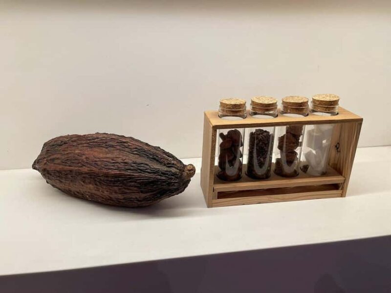 Brussels: Chocolate Appreciation and Tasting Walking Tour - Frequently Asked Questions