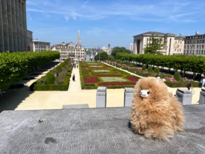 Brussels Day Trip from Paris or Amsterdam by Mini-Van - Frequently Asked Questions (FAQs)