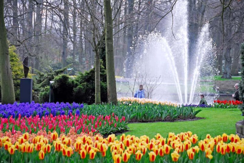 Brussels: Full Day Holland Keukenhof & Windmills Guided Tour - Frequently Asked Questions