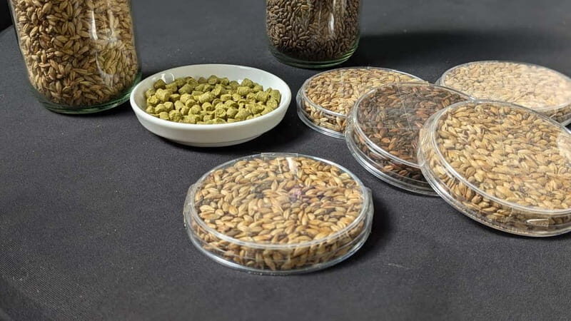 Brussels: micro brewery & distillery tour + beer tasting - The Value and Practical Aspects