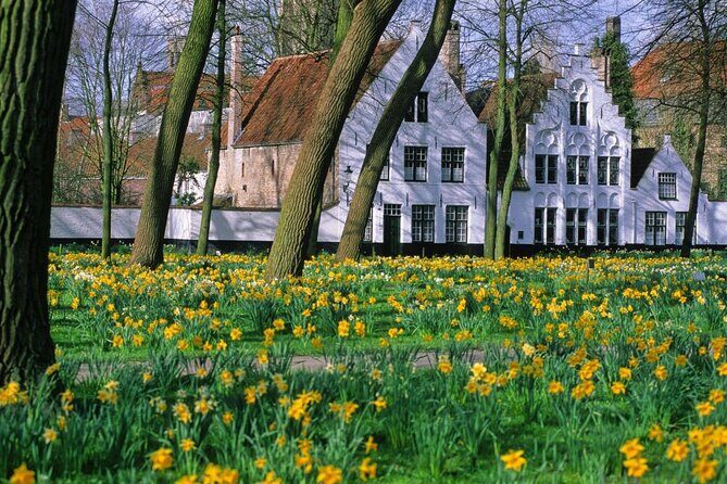 Brussels to Bruges: Private & Personalized Day Trip with a Local - A Personalized Day Trip from Brussels to Bruges