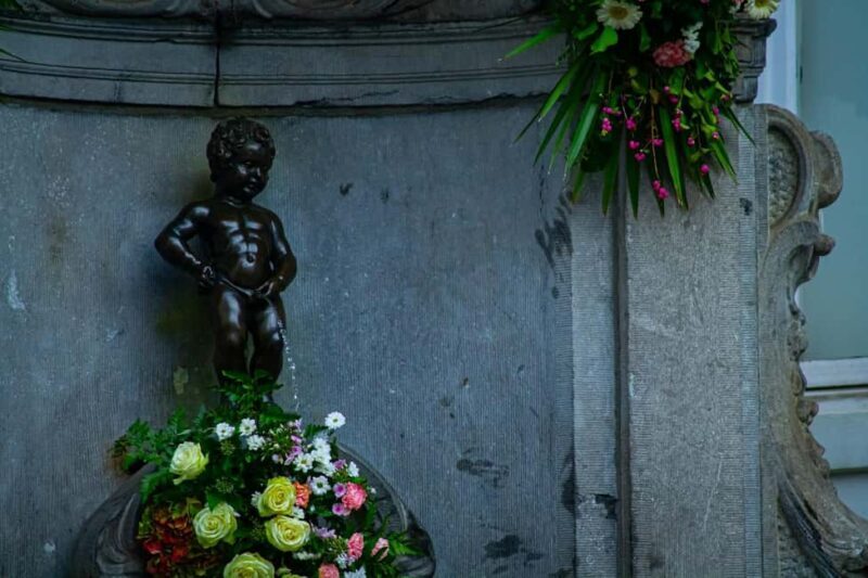 Brussels: Where Comics, Culture & Quirk Collide Walking Tour - Who Is This Tour Best For?