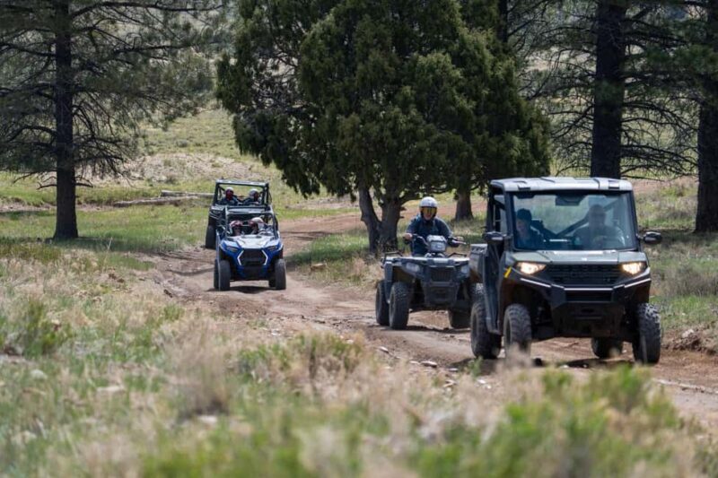 Bryce Canyon City Guided ATV/RZR Tour - Key Points