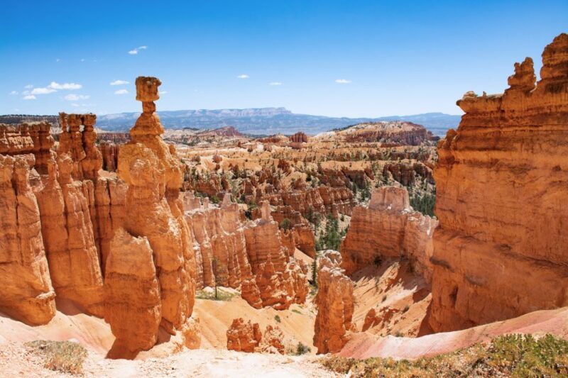 Bryce Canyon City Guided ATV/RZR Tour - The Itinerary: What You’ll Do During Your 1 Hour