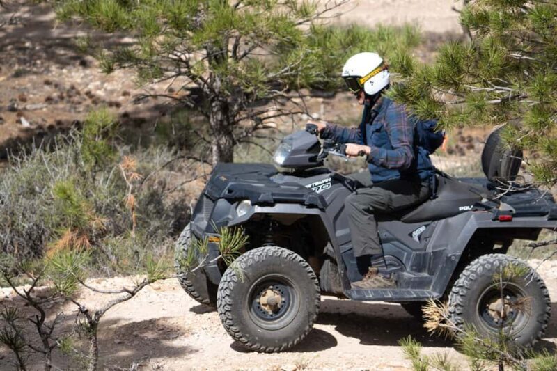 Bryce Canyon City Guided ATV/RZR Tour - What We Love About This Tour