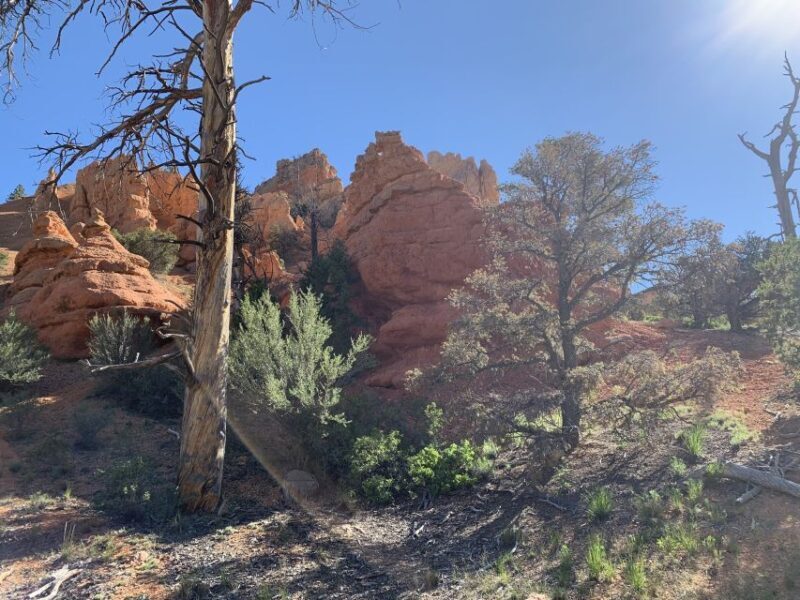 Bryce Canyon City: Horseback Riding Tour in Red Canyon - An Authentic Western Ride in Red Canyon