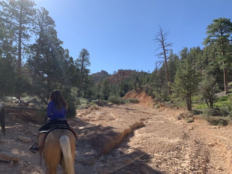 Bryce Canyon City: Horseback Riding Tour in Red Canyon - Practical Tips for Your Ride